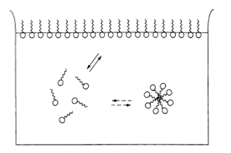 Critical micelle concentration